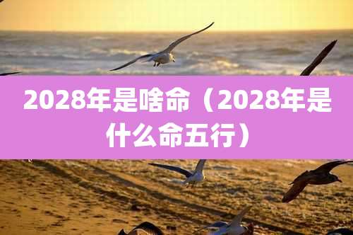 2028年是啥命（2028年是什么命五行）