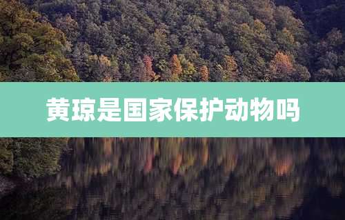 黄琼是国家保护动物吗