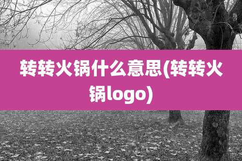 转转火锅什么意思(转转火锅logo)