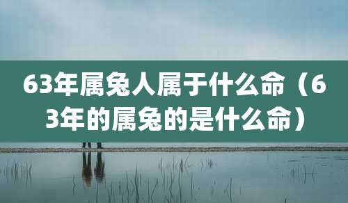 63年属兔人属于什么命（63年的属兔的是什么命）