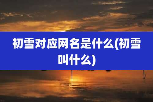 初雪对应网名是什么(初雪叫什么)