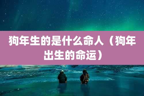 狗年生的是什么命人（狗年出生的命运）