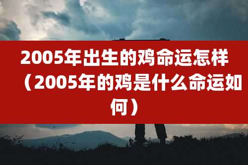 2005年出生的鸡命运怎样（2005年的鸡是什么命运如何）