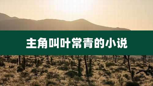 主角叫叶常青的小说