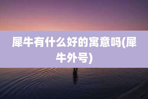 犀牛有什么好的寓意吗(犀牛外号)