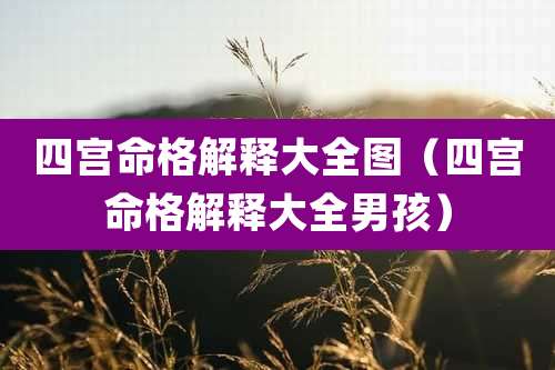 四宫命格解释大全图（四宫命格解释大全男孩）