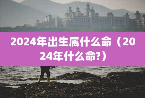 2024年出生属什么命（2024年什么命?）
