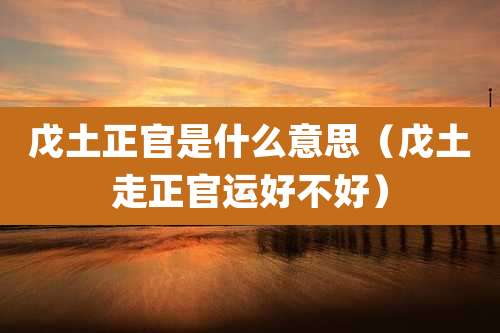 戊土正官是什么意思（戊土走正官运好不好）