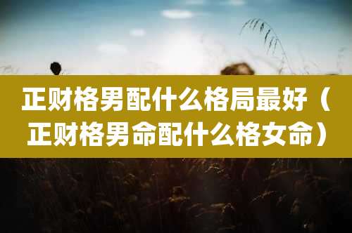 正财格男配什么格局最好（正财格男命配什么格女命）
