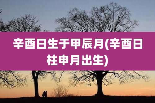 辛酉日生于甲辰月(辛酉日柱申月出生)