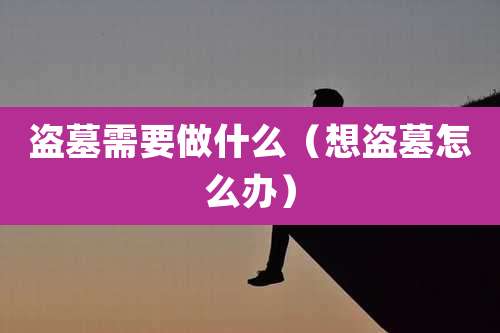 盗墓需要做什么（想盗墓怎么办）