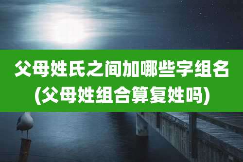 父母姓氏之间加哪些字组名(父母姓组合算复姓吗)