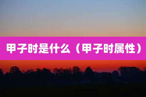 甲子时是什么（甲子时属性）