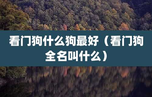 看门狗什么狗最好（看门狗全名叫什么）