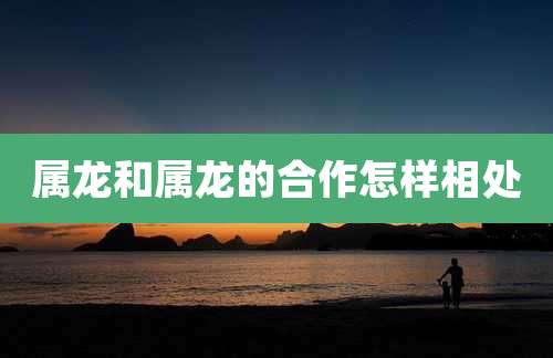属龙和属龙的合作怎样相处