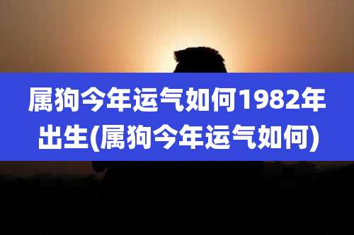 属狗今年运气如何1982年出生(属狗今年运气如何)