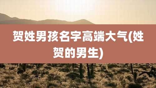 贺姓男孩名字高端大气(姓贺的男生)