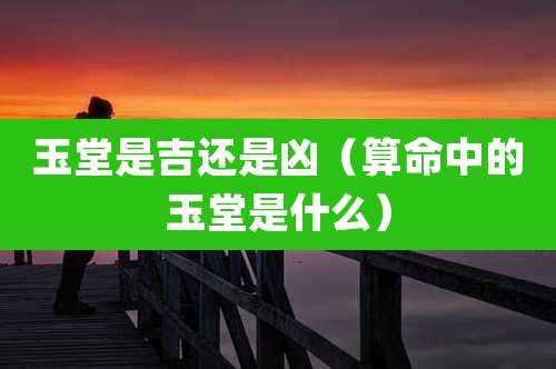 玉堂是吉还是凶（算命中的玉堂是什么）