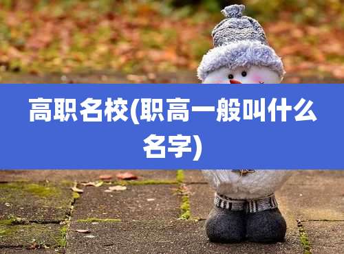 高职名校(职高一般叫什么名字)