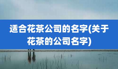 适合花茶公司的名字(关于花茶的公司名字)
