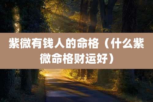 紫微有钱人的命格（什么紫微命格财运好）