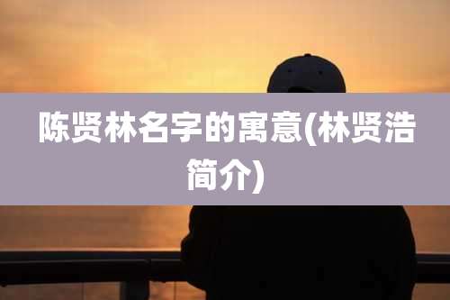 陈贤林名字的寓意(林贤浩简介)