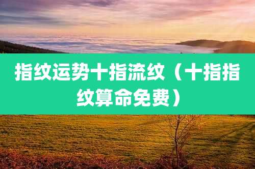 指纹运势十指流纹（十指指纹算命免费）
