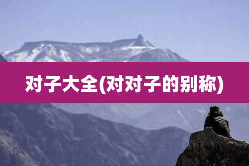 对子大全(对对子的别称)