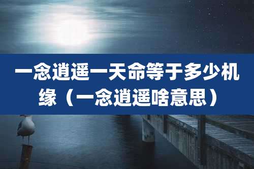一念逍遥一天命等于多少机缘（一念逍遥啥意思）