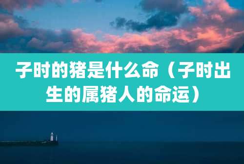 子时的猪是什么命（子时出生的属猪人的命运）