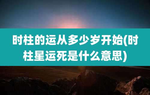 时柱的运从多少岁开始(时柱星运死是什么意思)