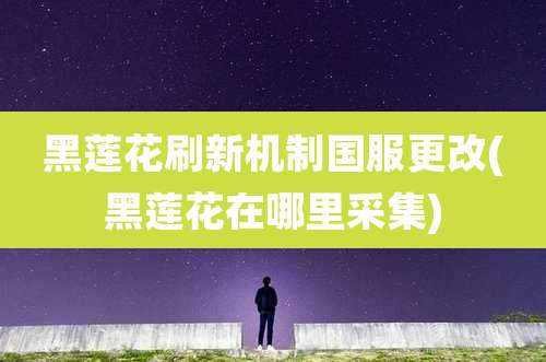黑莲花刷新机制国服更改(黑莲花在哪里采集)