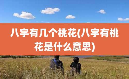 八字有几个桃花(八字有桃花是什么意思)