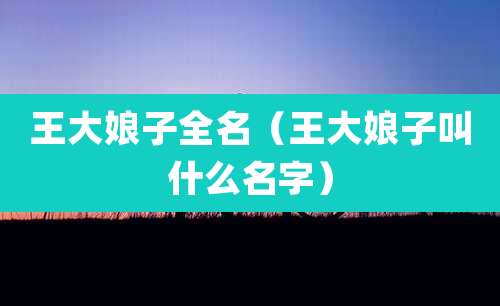王大娘子全名(王大娘子叫什么名字)