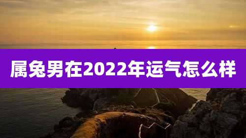 属兔男在2022年运气怎么样