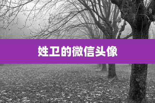 姓卫的微信头像