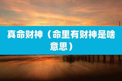 真命财神（命里有财神是啥意思）