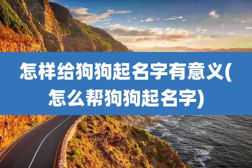怎样给狗狗起名字有意义(怎么帮狗狗起名字)