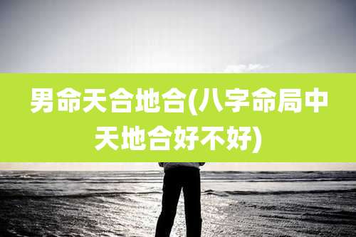 男命天合地合(八字命局中天地合好不好)