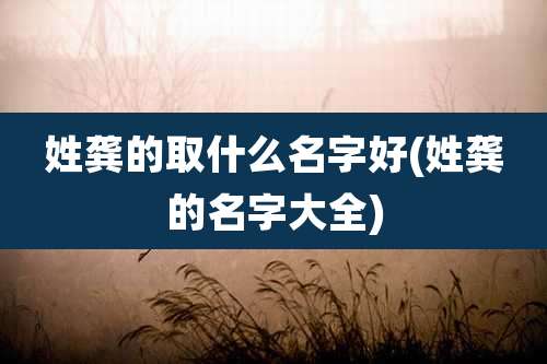 姓龚的取什么名字好(姓龚的名字大全)
