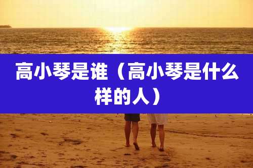 高小琴是谁（高小琴是什么样的人）
