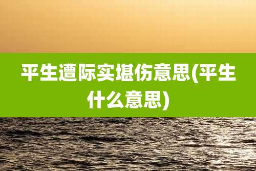 平生遭际实堪伤意思(平生什么意思)