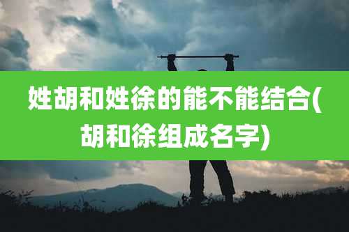 姓胡和姓徐的能不能结合(胡和徐组成名字)