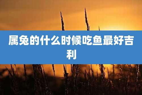 属兔的什么时候吃鱼最好吉利