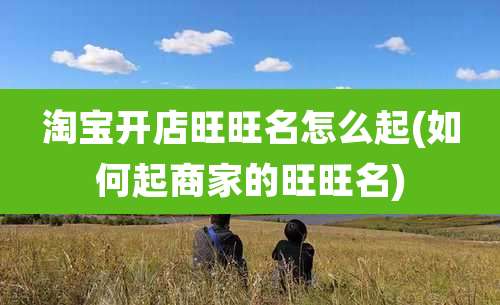 淘宝开店旺旺名怎么起(如何起商家的旺旺名)