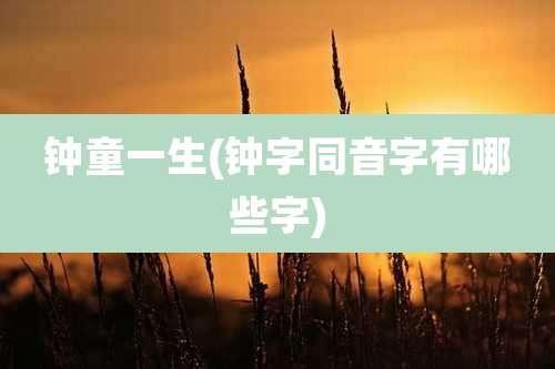 钟童一生(钟字同音字有哪些字)