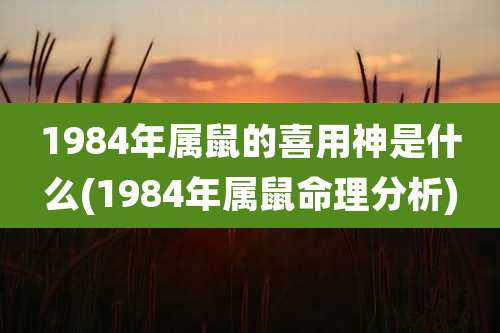 1984年属鼠的喜用神是什么(1984年属鼠命理分析)