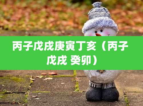 丙子戊戌庚寅丁亥（丙子 戊戌 癸卯）