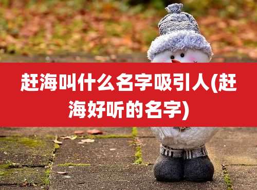 赶海叫什么名字吸引人(赶海好听的名字)