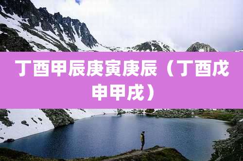 丁酉甲辰庚寅庚辰（丁酉戊申甲戌）